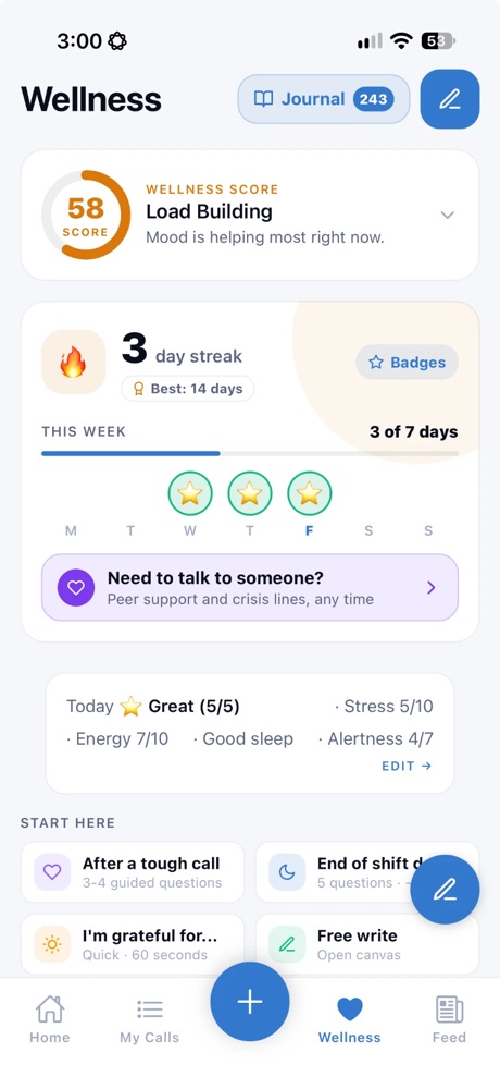 Wellness screen with Wellness Score, streak and journaling prompts